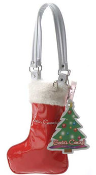 Santa's Coming Gift Bag
